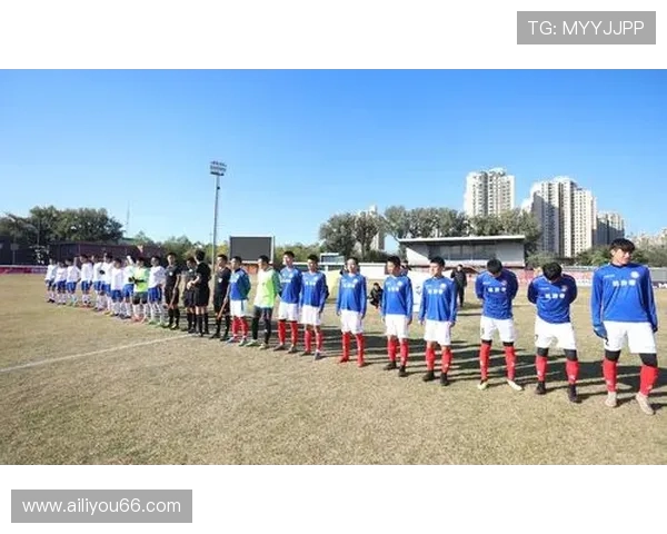 全新赛季开幕 各大球队备战激烈争夺冠军宝座